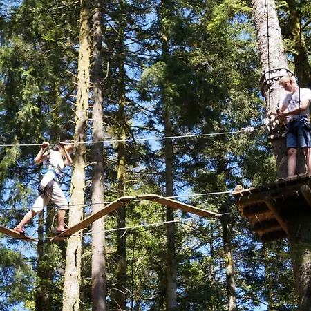 Maison Piscine Saint-Amarin