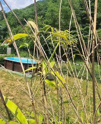 Maison Piscine * Saint-Amarin